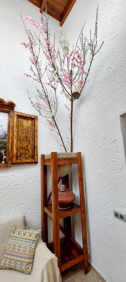 Willa Dani House Granadilla De Abona Zewnętrze zdjęcie